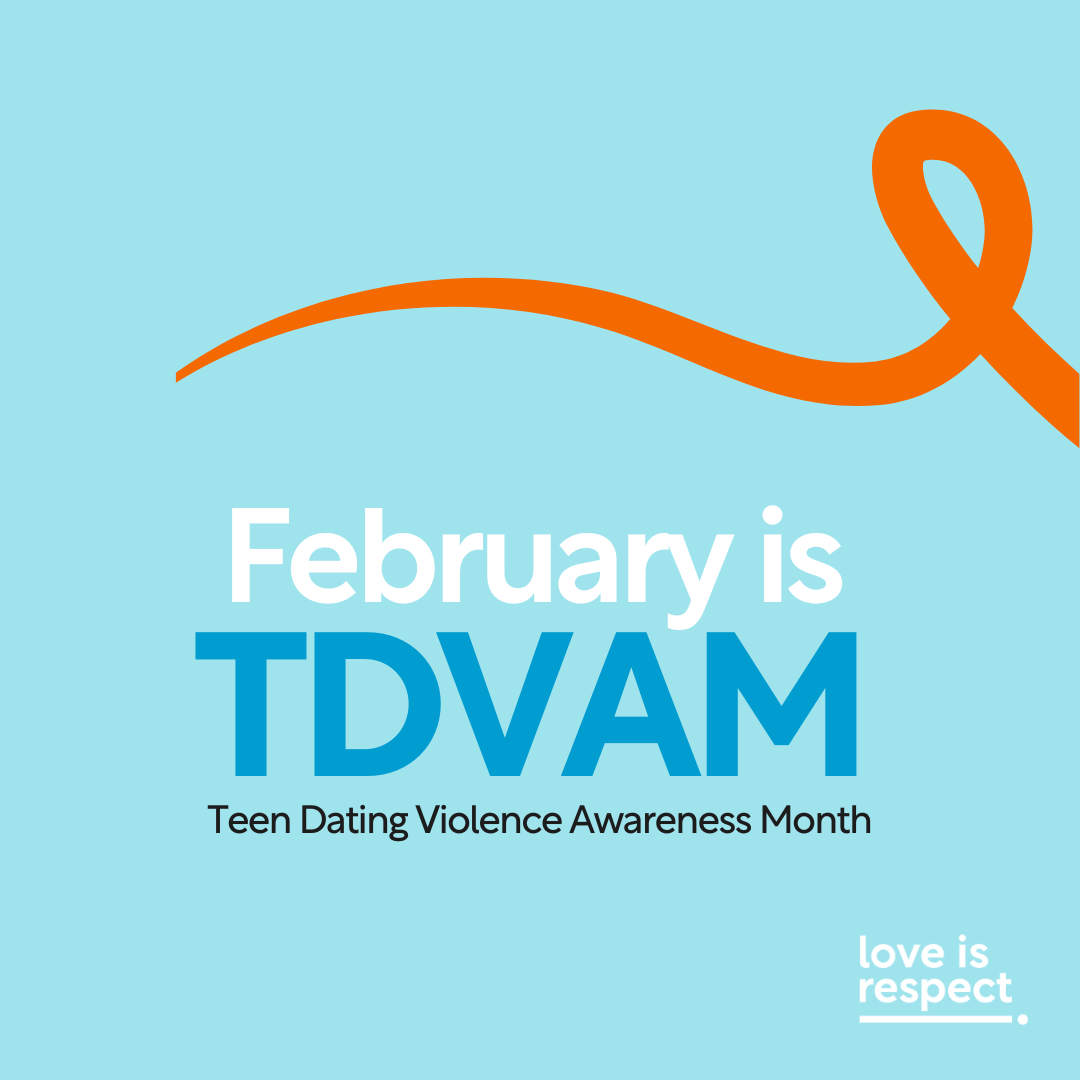 national teen dating violence awareness & prevention month (TDVAM) image